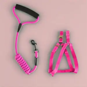 Dog Chain Dog Strap Leash Chest Strap for 30-55 kg Dogs Red Traction Leash & Chest Harness Set Ideal for Walking and Tying