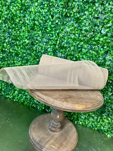 10.25 Inch By 10 Yard Natural Fine Weave Border Stripe Mesh