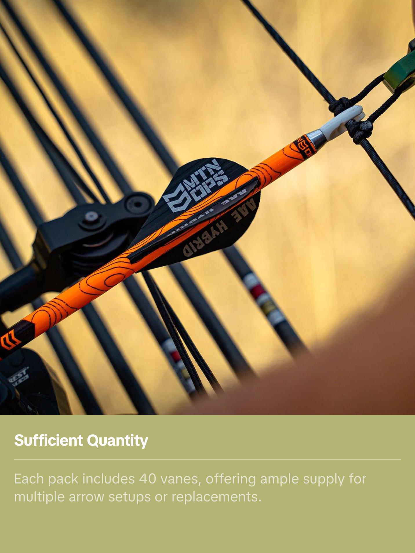 AAE HYBRID - HP ARROW VANES