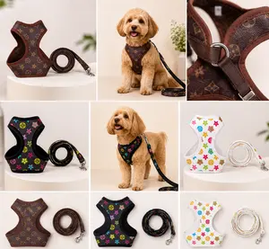 Fashion Harness Set
