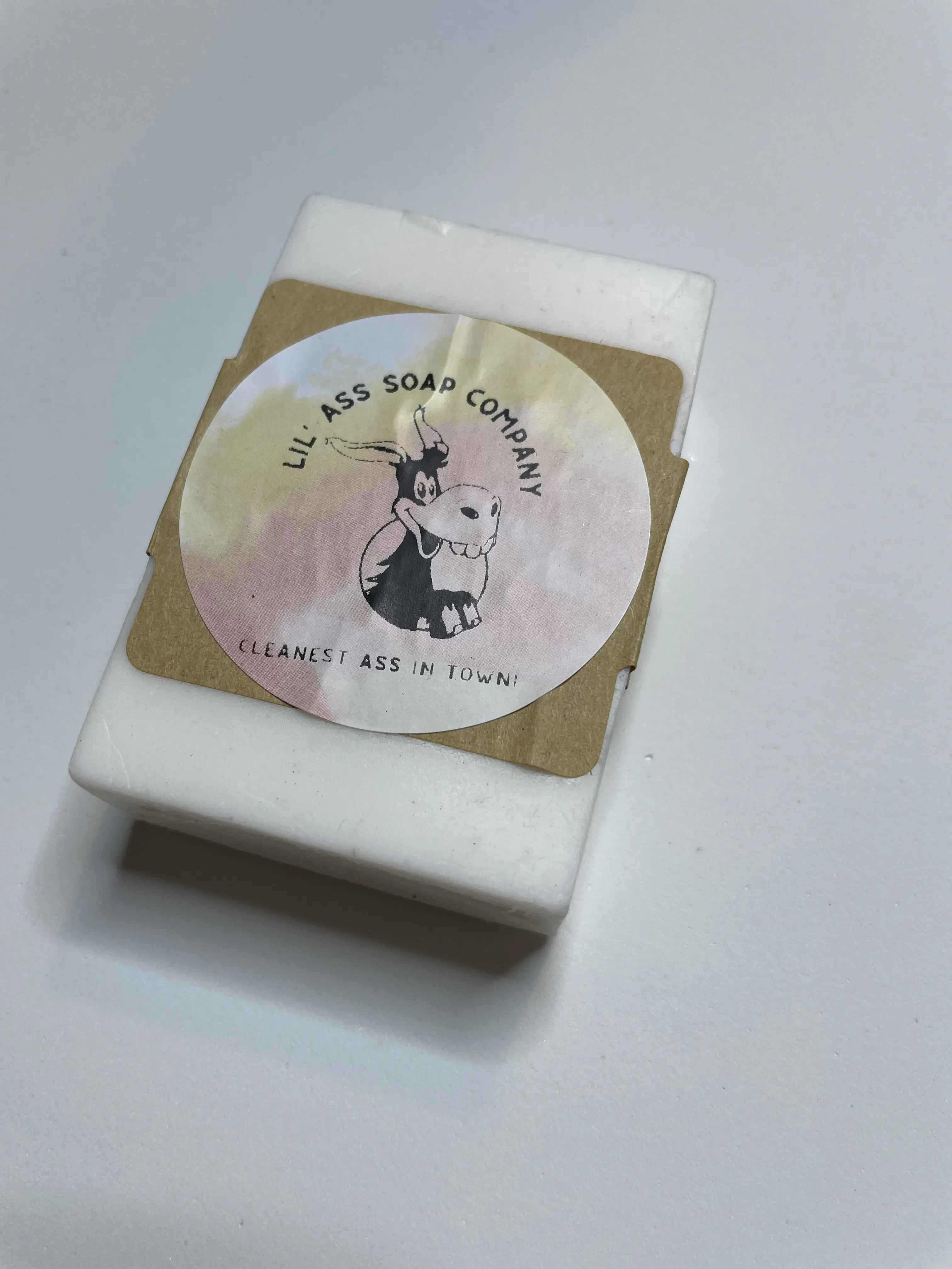 Citrus Mint Madness Donkey Milk Soap Bar