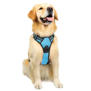 rabbitgoo Dog Harness, No-Pull Pet Harness with 2 Leash Clips, Adjustable Soft Padded Dog Vest,East 12