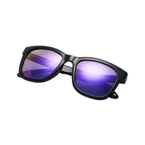 Roppongi Sunglasses (Shiny Black / Purple)
