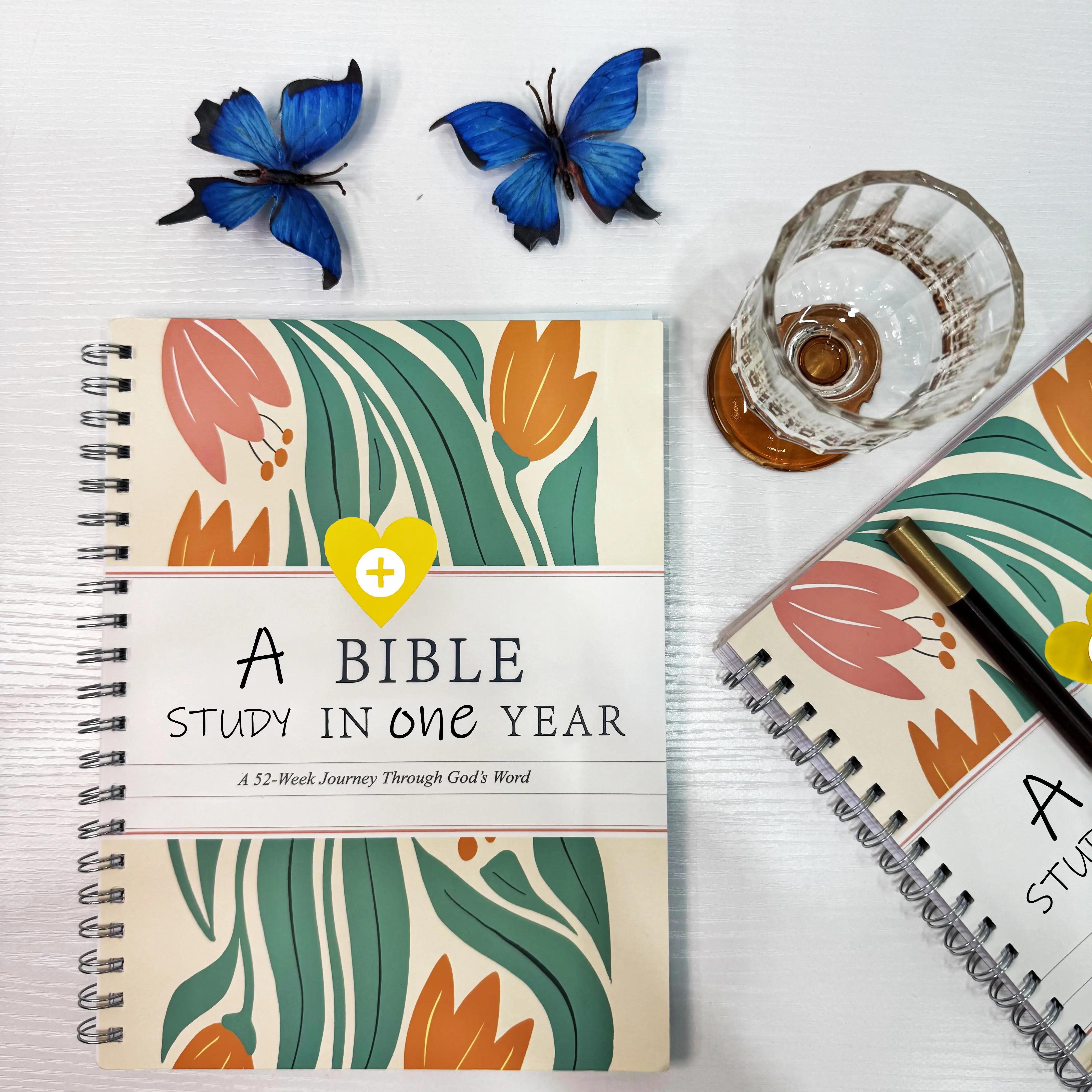 A Bible Study in One Year - 52-Week Study, A 365-Day Spiritual Journey with Daily Prayer and Notes, Ideal Faith Gift for Men and Women – Christian Wor