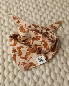 Buckaroo Western Print Dog Bandana