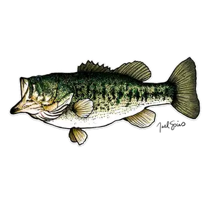 20” Largemouth Bass Decal