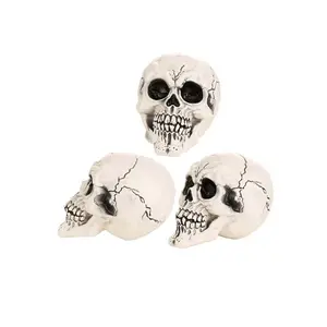 3-Pack of Large Skulls Prop