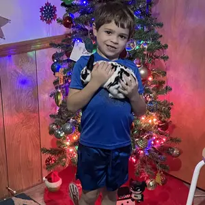 Rabbit Toy Reed Grass Hanging Basket Chews Woven Bunny Chewing Timothy Cake Wood Treats for Small Pets  Safe Multifunctional Chew Toys