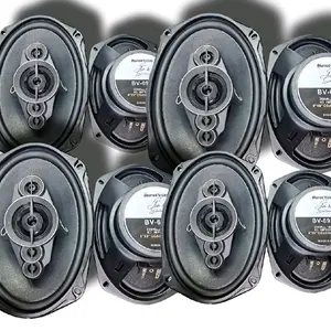 4*Blurred Vision Audio BV-6954-5 Way