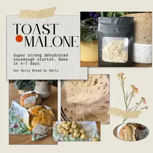 Toast Malone Dehydrated Sourdough Starter (So strong you can start baking in 4-7 days after rehydrating)