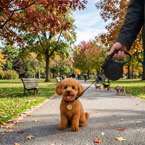 Automatic Retractable Dog Leash 5M Extendable Pet Lead Durable Dog and Cat Walking Training 1 Piece Black