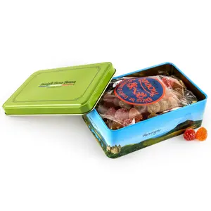 Straight From France Assorted Mini French Fruit Jellies (Pates de Fruit), 5 Flavors in Auvergne Themed Candy Gift Tin 7 Oz