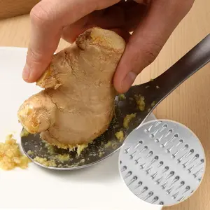 Ginger Grater Spoon – Stainless Steel Garlic, Lemon & Cheese Grinder, Multi-Purpose Kitchen Gadget