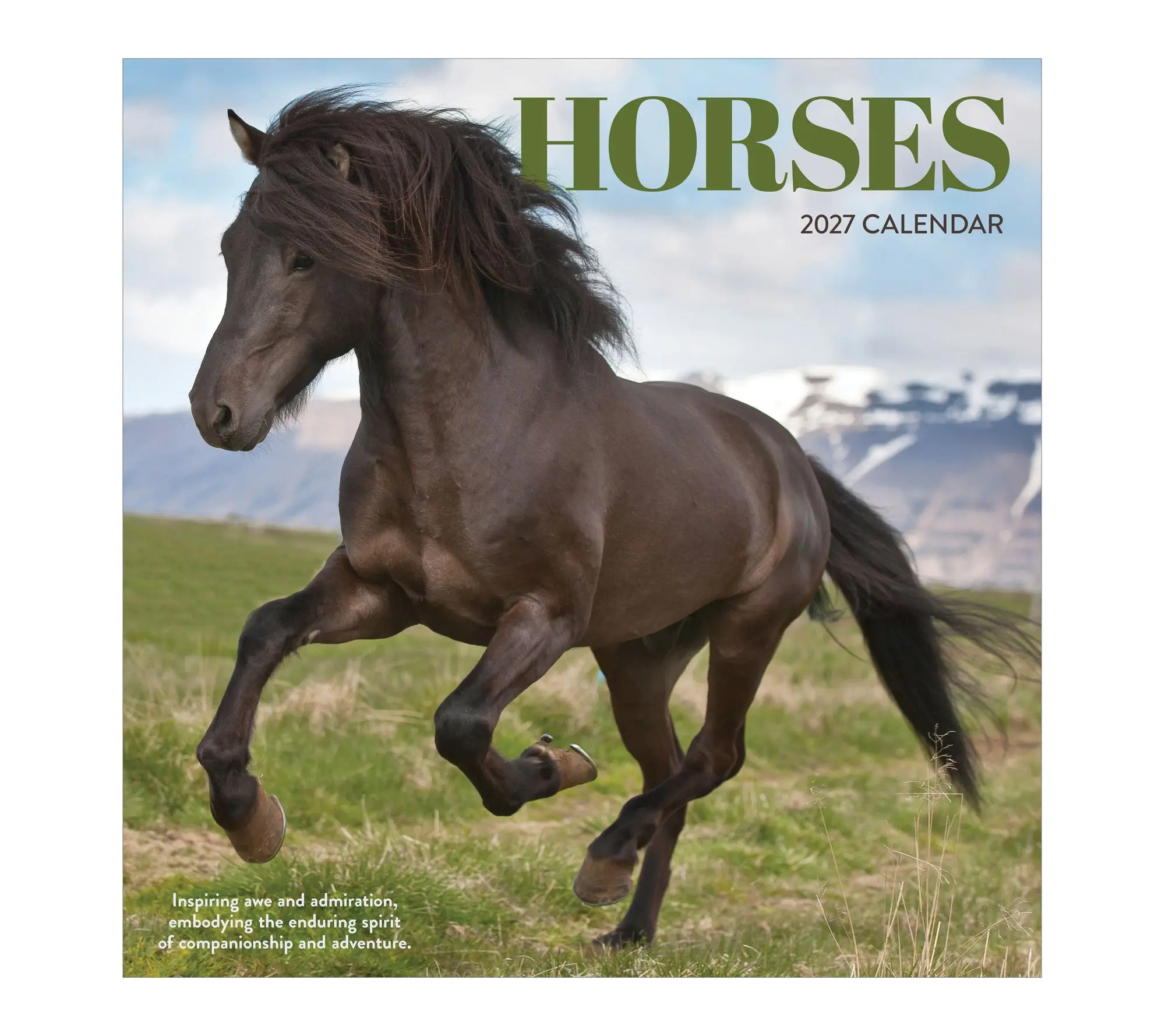 TF Publishing 2027 Horses Wall Calendar