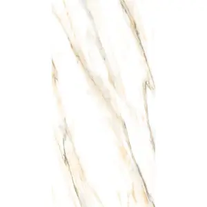AGL Calacatta Gold Polished 24 x 48