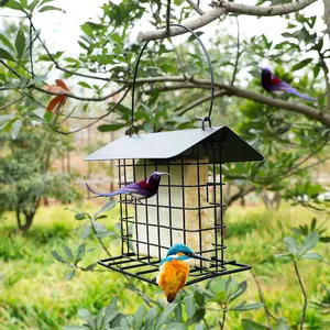Squirrel Proof Bird Feeder, Hanging Cage Design Bird Feeder, Weather Resistant Bird Feeding Tool for Outdoor Wild Bird