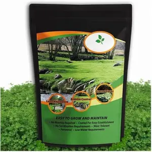 Perennial White Micro Clover Seed 1 lb, Dwarf Low Maintenance Ground Cover for Lawn Yard Garden, Small Leaf Drought Tolerant Clover Seeds for Outdoor Planting
