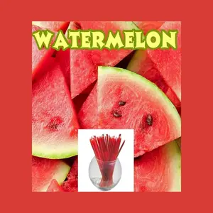Oh Honey Please Watermelon Flavor Infused 100% Natural Raw Unfiltered Honey Sticks 6.5 Inches Eco-Friendly Healthy On-The-Go Straws