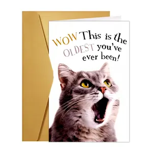A Humorous "Your Oldest Birthday Card" with Envelope - Perfect for Cat And Dog Lovers, Friends, And Family - a Creative Greeting Card Featuring a Vibrant Design of a Yellow-Eyed Cat