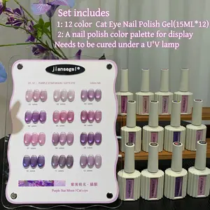 12 Color Aurora Cat Eye Nail Gel Polish Set, Romantic Cinnamon Filter, Includes Color Chart, for Nail Color Effect Display Manicure