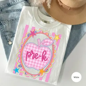 Pre-K to Fourth Grade Comfort Colors T-Shirt, Back to School Teacher Tee, Pink Gingham Stripes Shirt, First Day of School Outfit