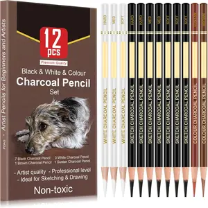 Charcoal Pencil Set, 12pcs/set Drawing Sketching Pencil, Professional Art Supplies for Students Home School Office Art Materials