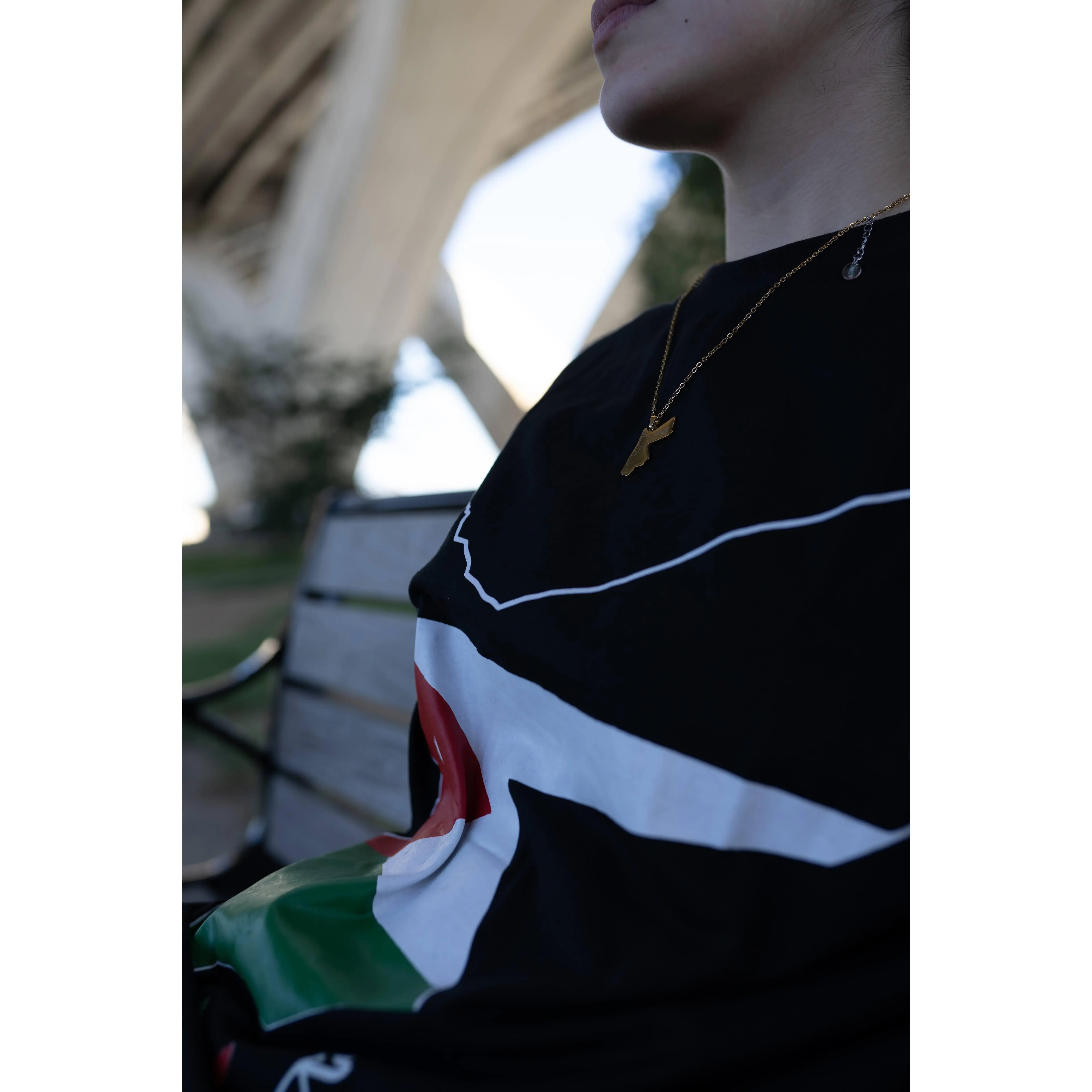 Jordan necklace
