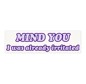 Mind You I was Already Irritated | Bumper Sticker AND Magnet | Funny Meme Sticker | 8.7'' X 2.7'' | Waterproof Premium Quality