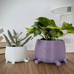 Plant Pot, Drainage and Tray, Cute Happy Face Indoor Succulent Planter, Houseplant Lovers Kawaii Decor Dorm Gift, Flower Pot for Cozy Home