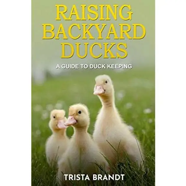 USED Book - Raising Backyard Ducks: A Guide to Duck Keeping by Trista Brandt (Paperback) - english
