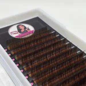 MINK Dark Brown Lash Extensions 0.05 D Curl 10-17mm Length Salon Use Makeup - Volume and Classic Style for Advanced Lash Application