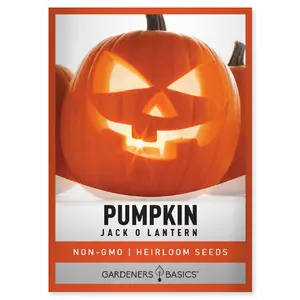 Jack O Lantern Pumpkin Seeds