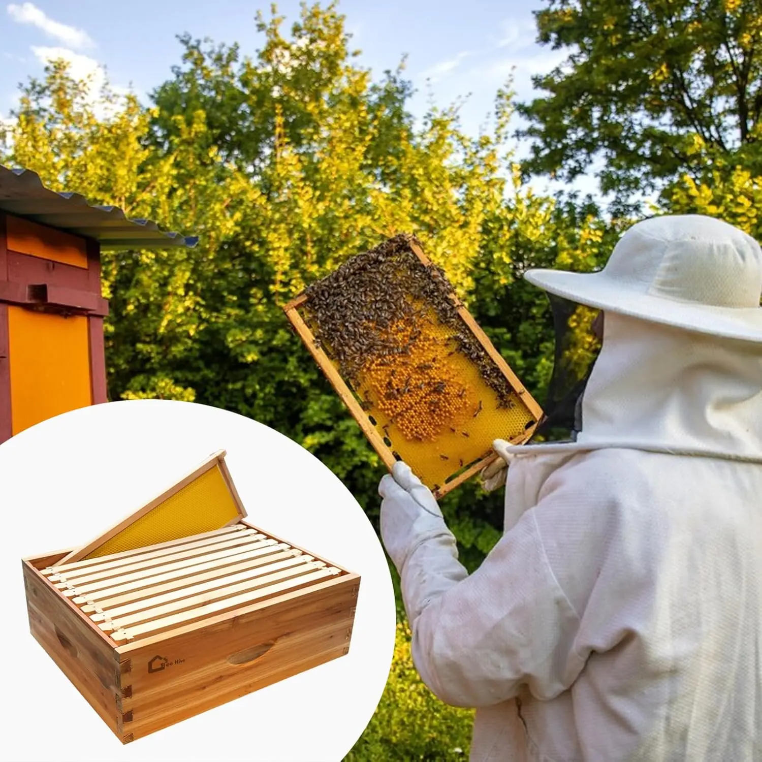 10 Frame Medium Super Cedarwood Langstroth Bee Hive Box with Dovetail Joints - Beeswax Dipped Honey Super, Includes Frames & Wax Foundations for Beekeeping Supplement