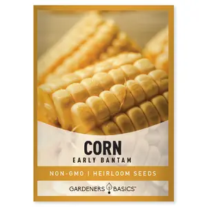 Early Golden Bantam Corn Seeds