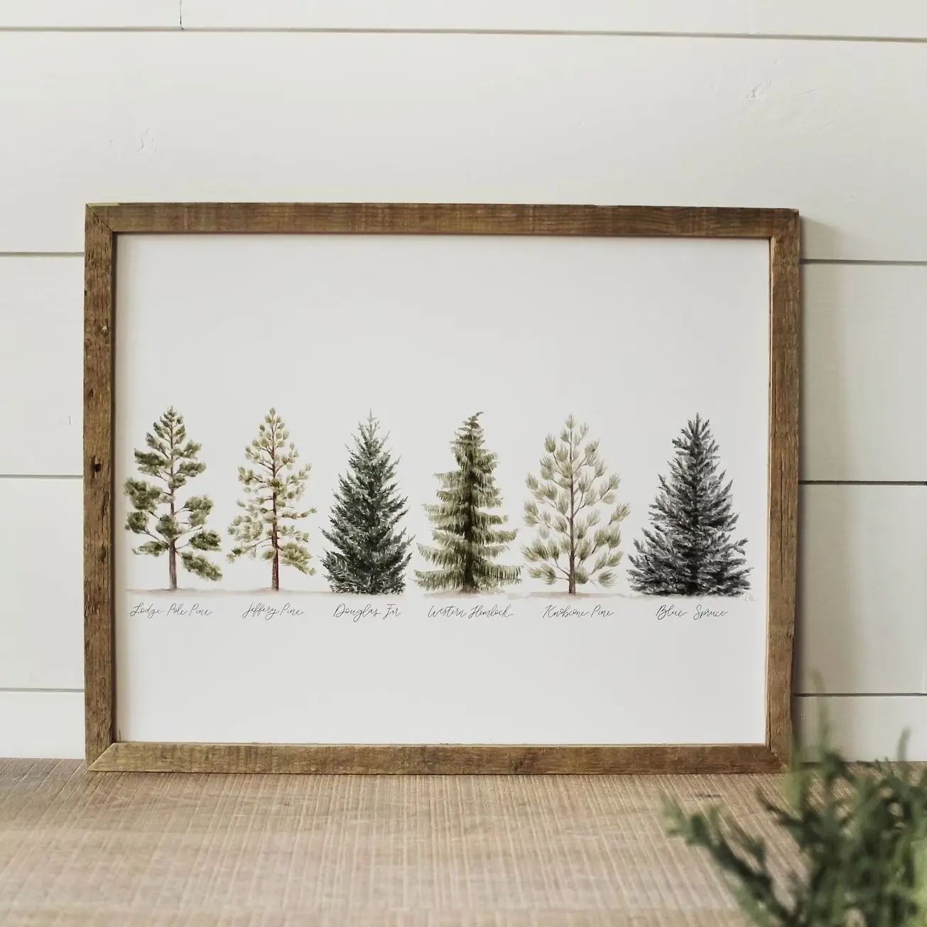 Evergreen Pine Tree Wall Art Print, Watercolor Mountain Forest Landscape Poster, Rustic Nature Home Decor | Frameless Poster 6