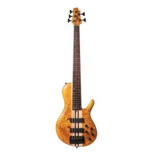 Cort Artisan A5 Plus SC 5-String Electric Bass *USA Small Business*