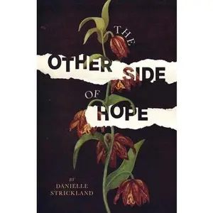 USED-The Other Side of Hope: Flipping the Script on Cynicism and Despair and Rediscovering Our Humanity by Strickland, Danielle (Paperback)