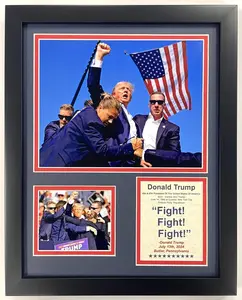 Donald Trump | America's 45th and 47th President | 12"x15" Double Matted Photo Collage