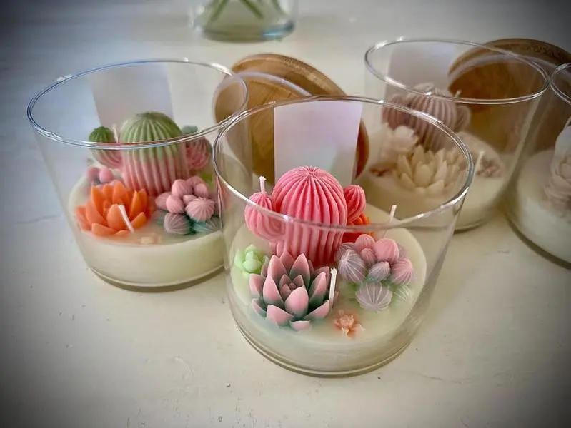 Lu home The Succulent Jar Scented Candle | 3 Wick Candle | Terrarium Candle | Decorative Candle | Cactus Candle | Garden Candle
