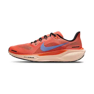 Air Zoom Pegasus 41 "Cosmic Clay" FD2722 600