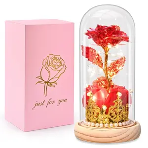 Red Rose in Glass Dome Night Light, Battery Powered Light Up Flower with Crown, Romantic Table Decor, Valentine's Day Gift for Her, Mom, Wife, Girlfriend, Anniversary/Birthday Indoor Home Decor