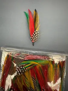 Stetson Brand 1 Pluma Feather for Stetson Hats - Natural Texana Feathers in Red Green Yellow & Black Colors for Customization