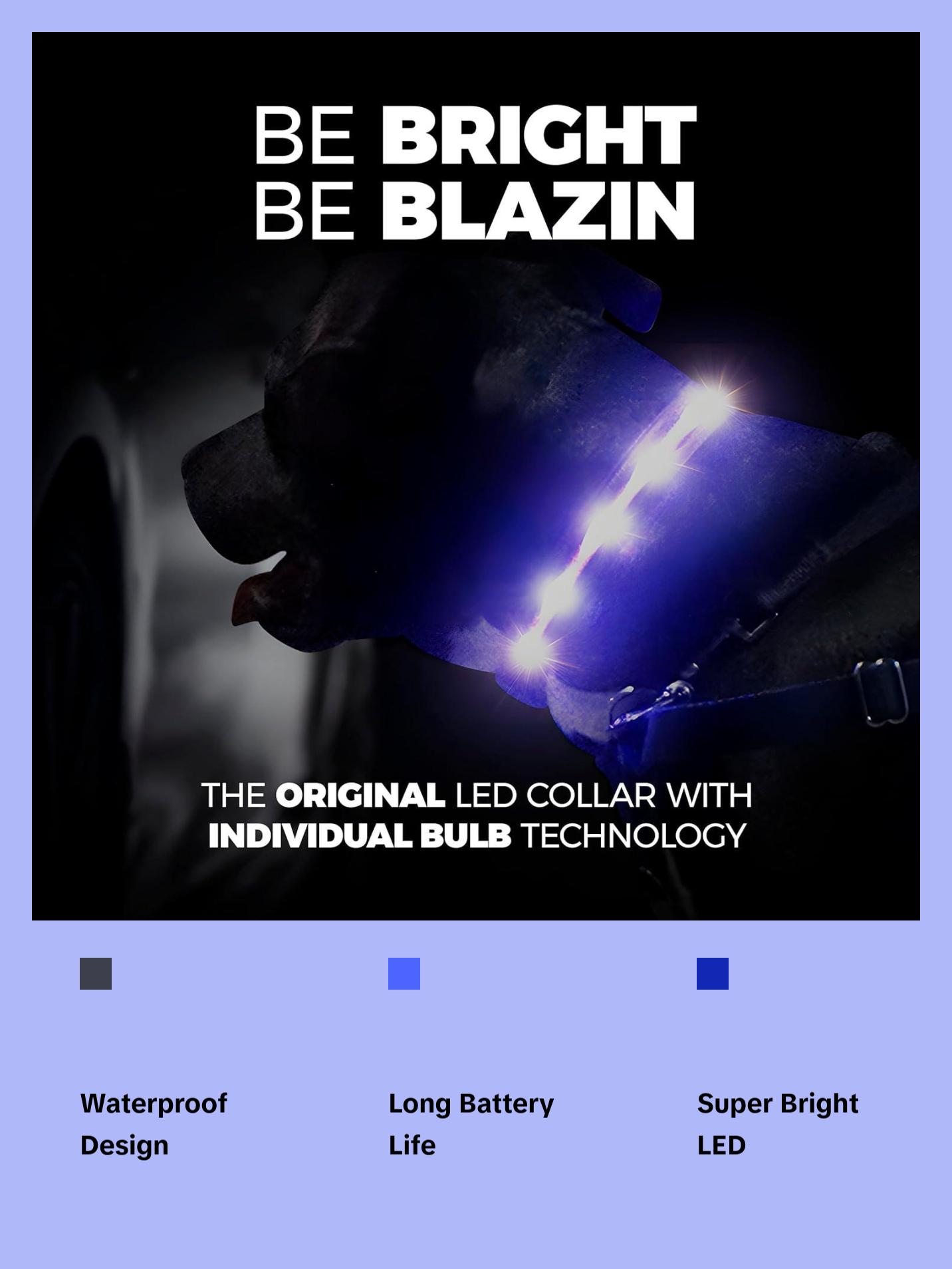 BLAZIN Brightest LED Dog Collars – The Original LED Collar Offering 1,000 Feet of Visibility – USB Rechargeable, Waterproof Design for Enhanced Safety During Nighttime Walks – Proudly Made in the USA Blazin