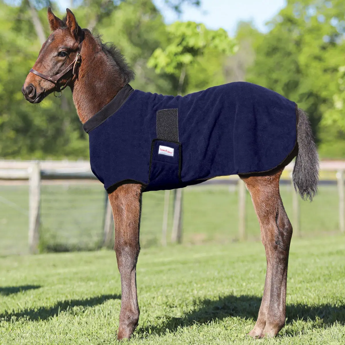 Dura-Tech Non-Pill Polar Fleece Foal Warmer for Horse Breeding, Does Not Absorb Moisture, Easy On and Off, Keeps the Foal Warm and Dry