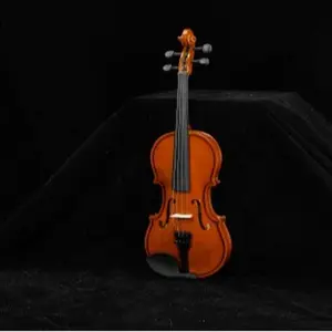 New Acoustic Violin with Hard Case,Violin Bow,Shoulder Rest,Rosin,Extra Strings and Sourdine