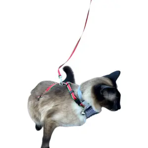 Cat Harness & Leash Set - Watermelon and Keffiyeh Pattern