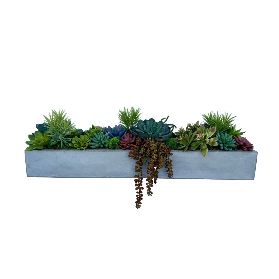 Long Concrete Succulent Arrangement
