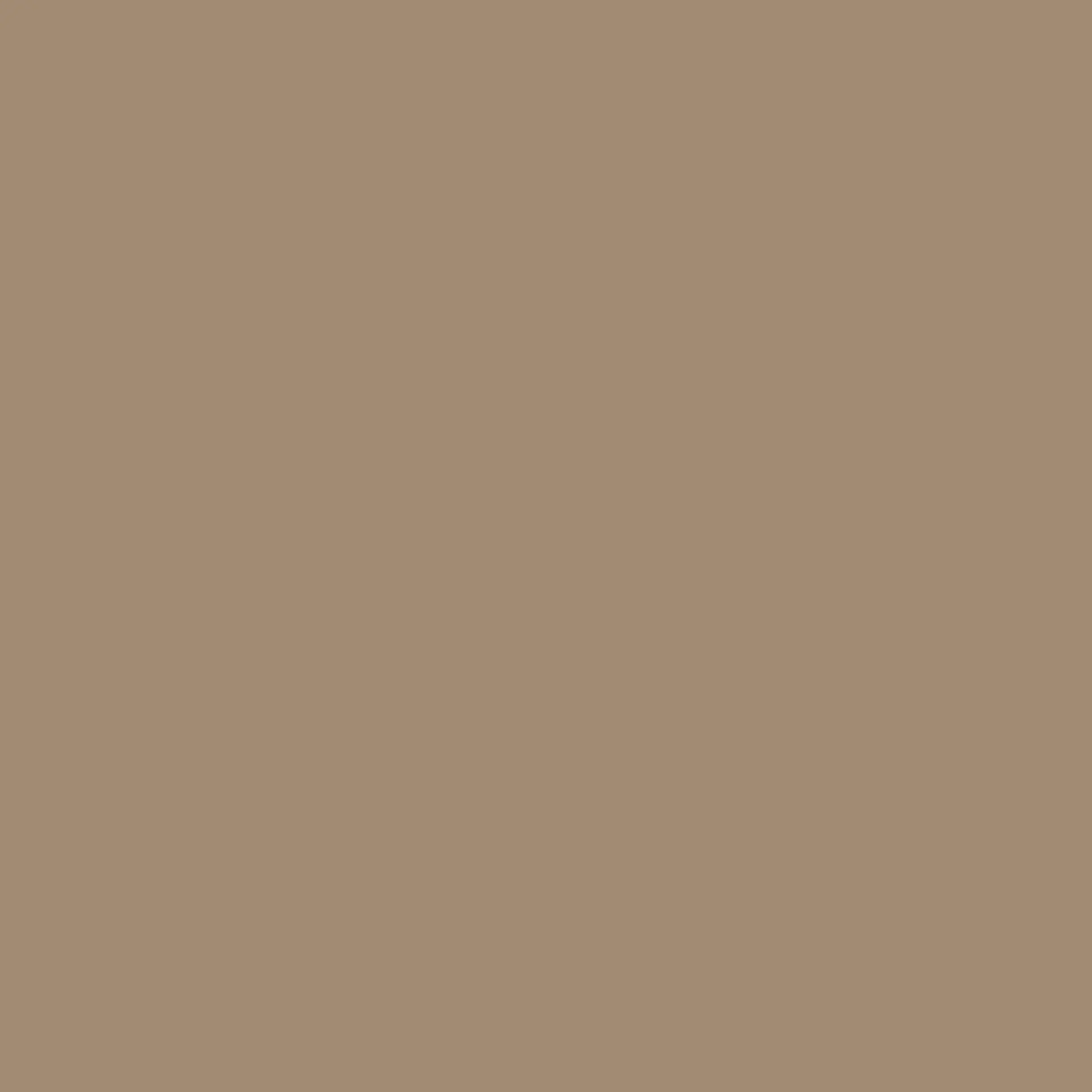 TAMARIND BROWN Beige Solids by Free Spirit Quilting Cotton Fabric Sold by the Half Yard