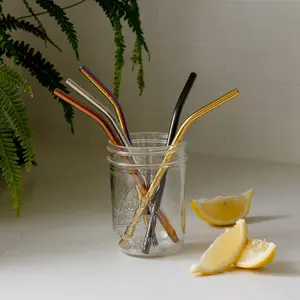 Stainless Steel Straw - Straight, Bent, or Boba Style Stainless Steel Straw - Straight, Bent, or Boba Style