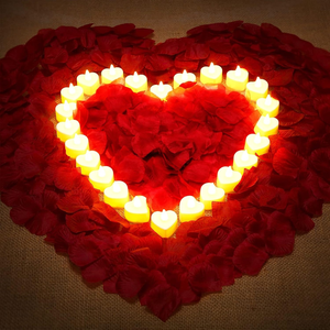 Wicked Collective Haven